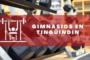 Gimnasios en Tingüindín