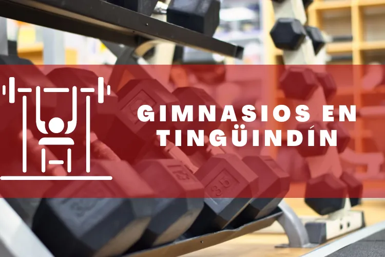 Gimnasios en {municipio(municipio}