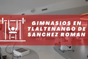 Gimnasios en Tlaltenango de Sánchez Román