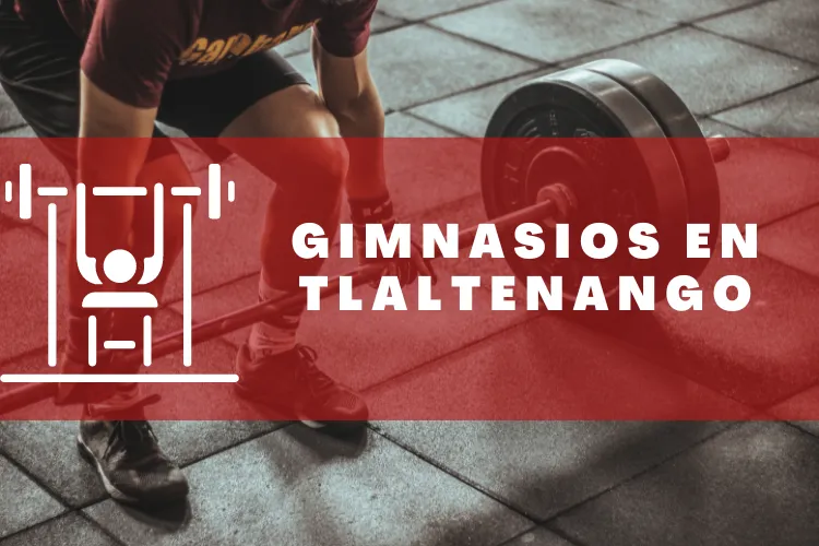 Gimnasios en {municipio(municipio}