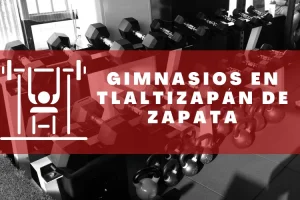 Gimnasios en Tlaltizapán de Zapata