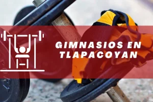Gimnasios en Tlapacoyan