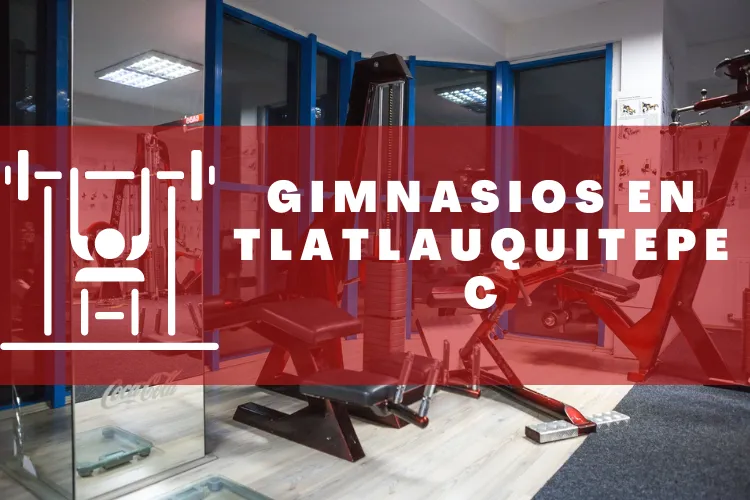 Gimnasios en {municipio(municipio}