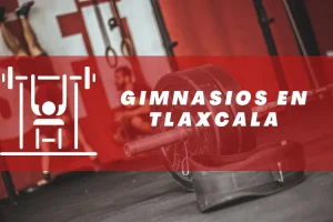 Gimnasios en Tlaxcala