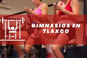 Gimnasios en Tlaxco