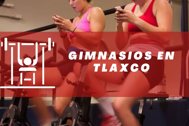 Gimnasios en {municipio(municipio}