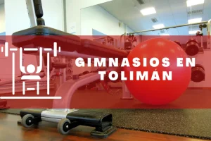 Gimnasios en Tolimán