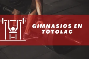 Gimnasios en Totolac