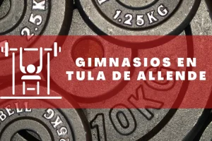 Gimnasios en Tula de Allende