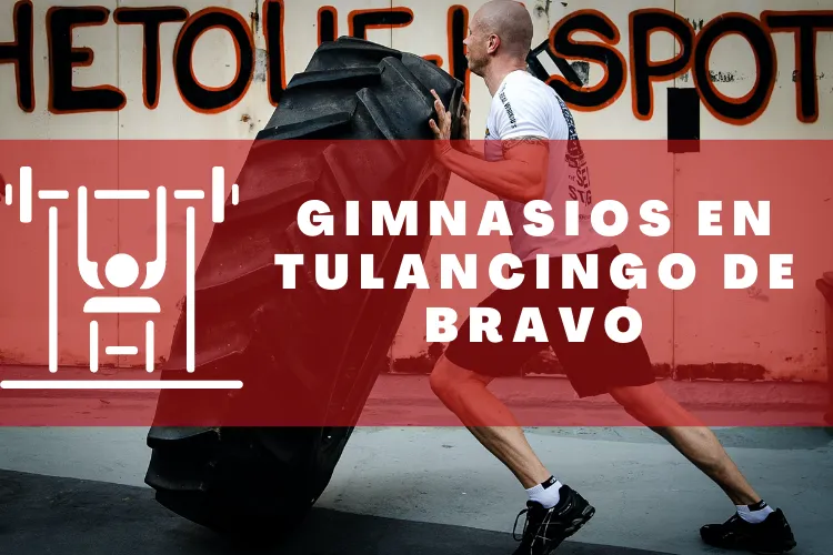 Gimnasios en {municipio(municipio}