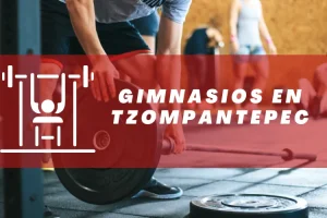 Gimnasios en Tzompantepec