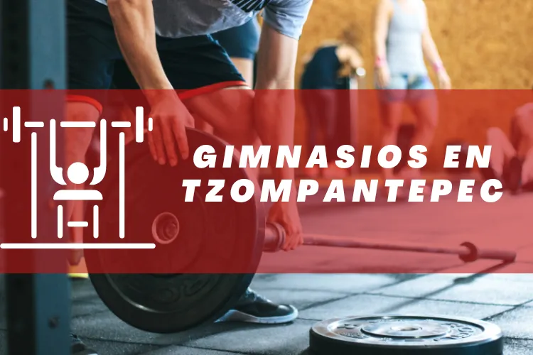 Gimnasios en {municipio(municipio}
