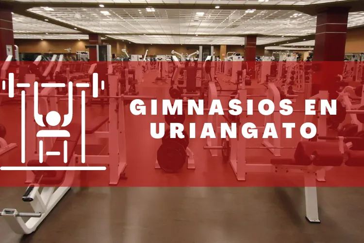 Gimnasios en {municipio(municipio}