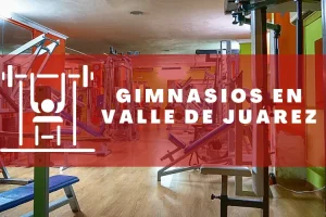 Gimnasios en Valle de Juárez