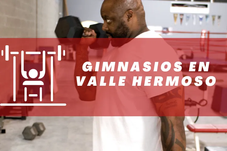 Gimnasios en {municipio(municipio}