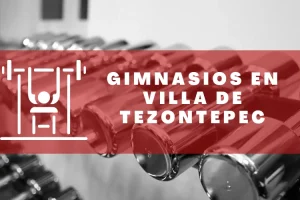 Gimnasios en Villa de Tezontepec