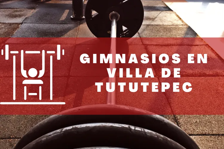 Gimnasios en {municipio(municipio}
