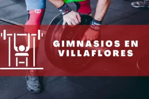 Gimnasios en Villaflores