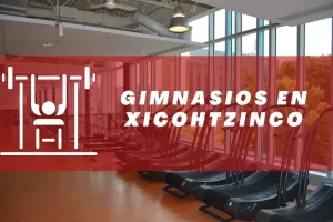 Gimnasios en Xicohtzinco