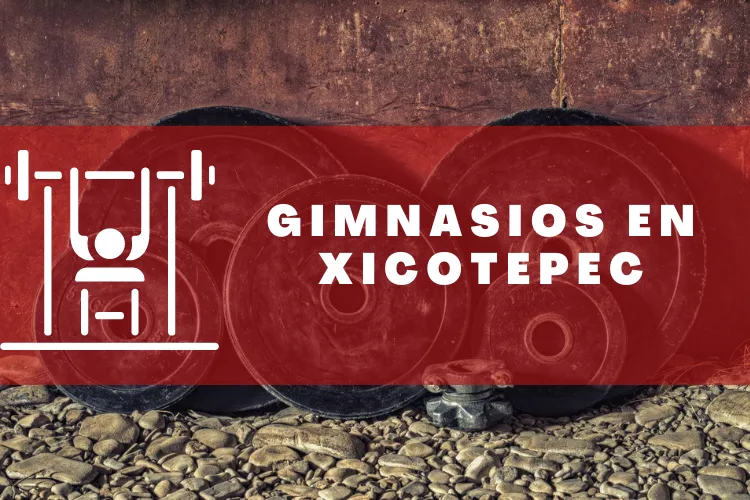 Gimnasios en {municipio(municipio}