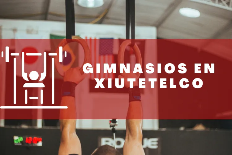Gimnasios en {municipio(municipio}