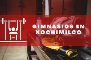 Gimnasios en Xochimilco