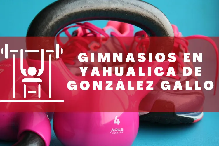 Gimnasios en {municipio(municipio}