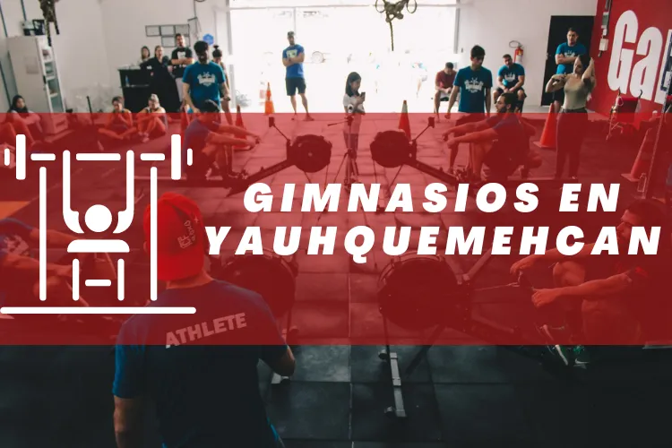 Gimnasios en {municipio(municipio}