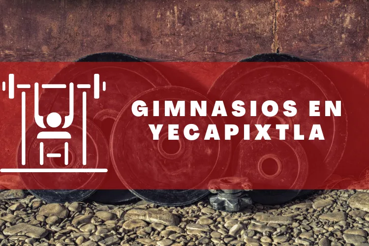 Gimnasios en {municipio(municipio}