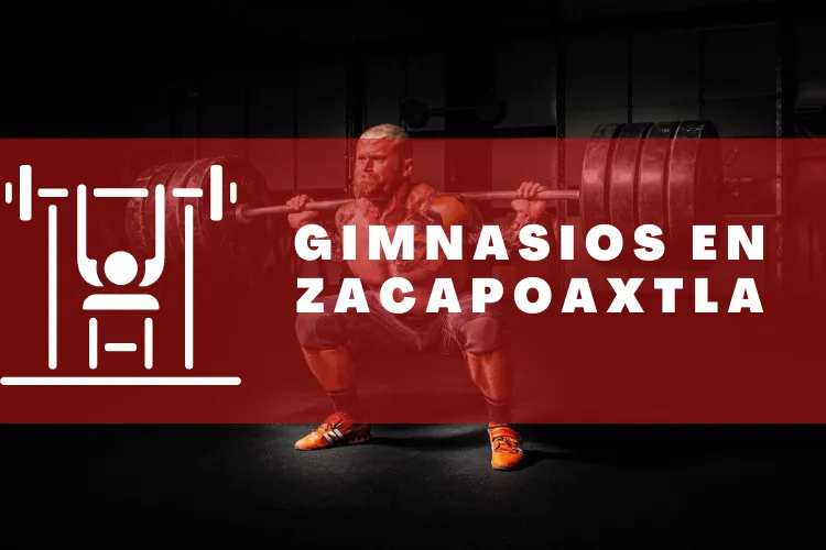 Gimnasios en {municipio(municipio}