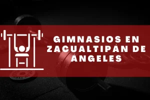 Gimnasios en Zacualtipán de Ángeles