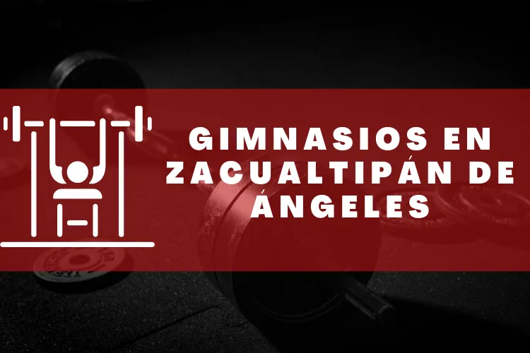 Gimnasios en {municipio(municipio}