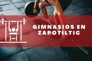 Gimnasios en Zapotiltic