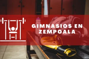 Gimnasios en Zempoala