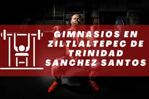 Gimnasios en Ziltlaltépec de Trinidad Sánchez Santos