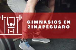 Gimnasios en Zinapécuaro