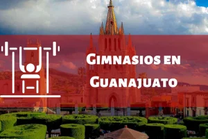 Gimnasios en el Estado de Guanajuato