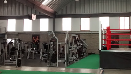 American Fitness México Nuevo