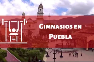 Gimnasios en el Estado de Puebla