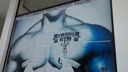 Colosus Gym