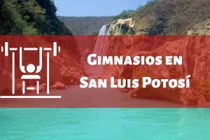 Gimnasios en el Estado de San Luis Potosí