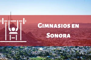 Gimnasios en el Estado de Sonora