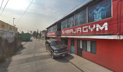 GYM Shibaja