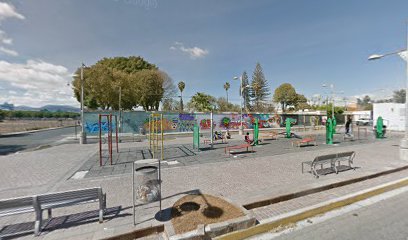 Gimnasio Del Parque Guadalupe
