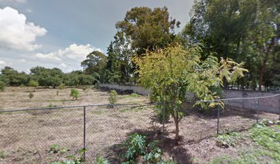 Campo Militar