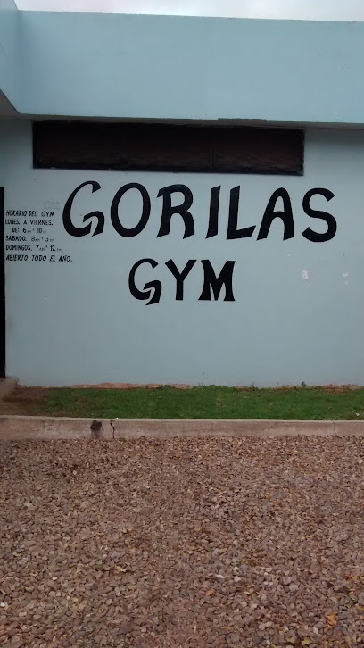 Gorillas Gym