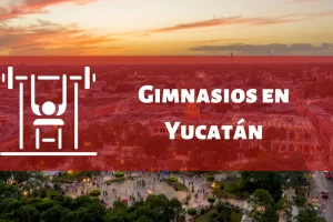 Gimnasios en el Estado de Yucatán